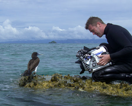 Nick Hope shooting young blue-footed boobie