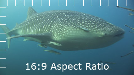 16:9 aspect ratio
