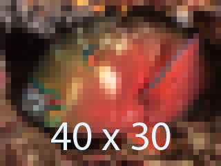 medium resolution image