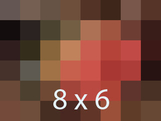 low resolution image