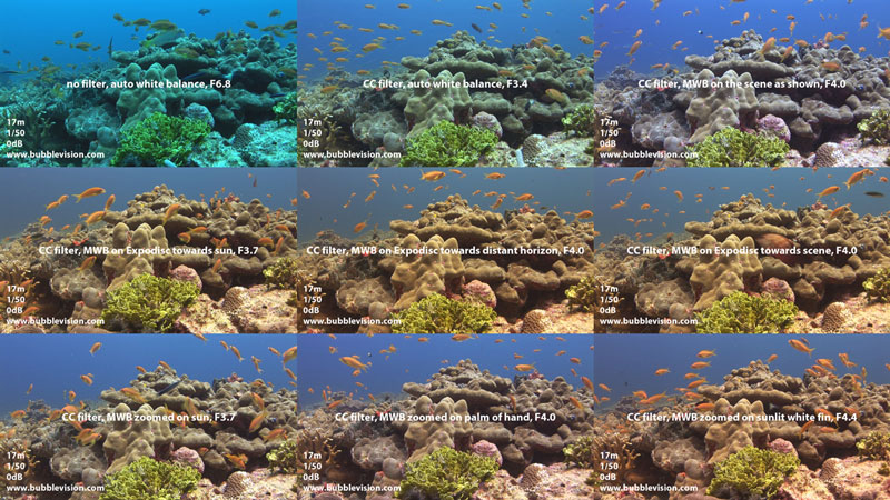 white balance comparison